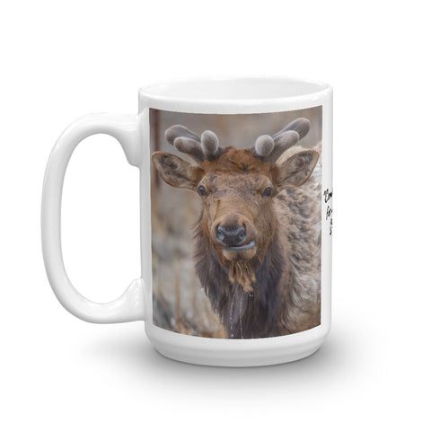 Bull Elk in Moraine Park
