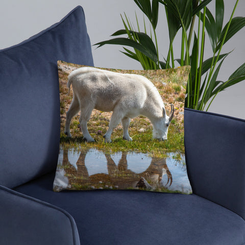 Rocky Mountain Goat Reflecting Pool