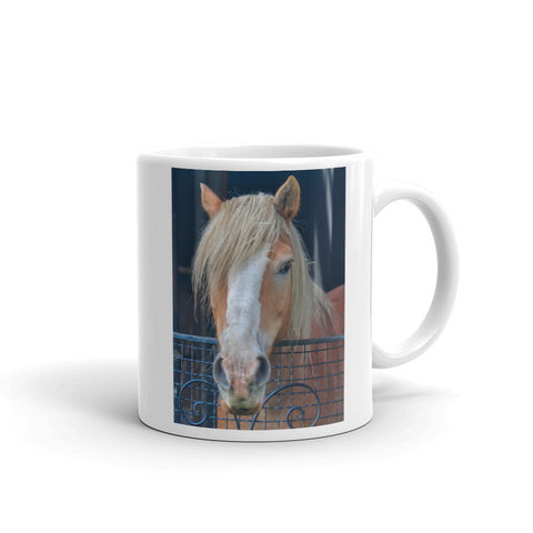 Haflinger Draft Horse