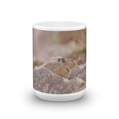 Pika in Talus Field at Mount Evans