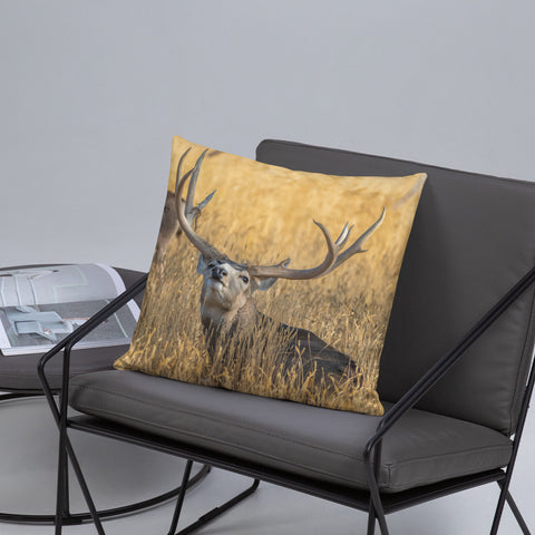 Stag Scenting Danger