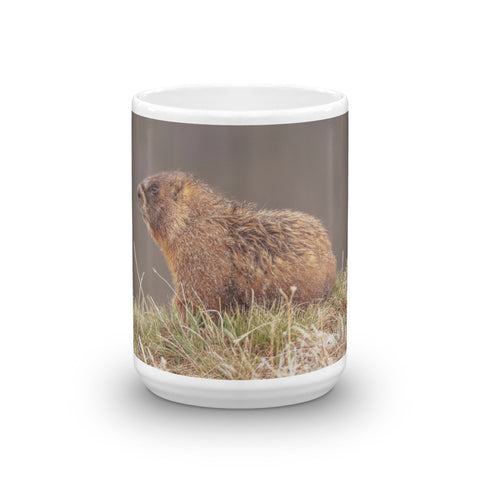 Yellow-Bellied Marmot