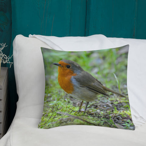 Little Robin Redbreast Came To Visit Me