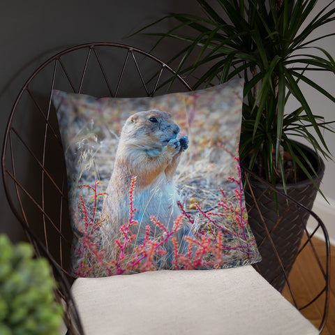 Prairie Dog at the Arsenal