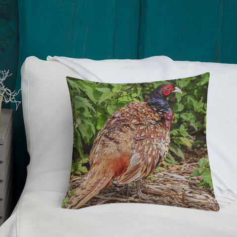 An English Pheasant Awash With Colour