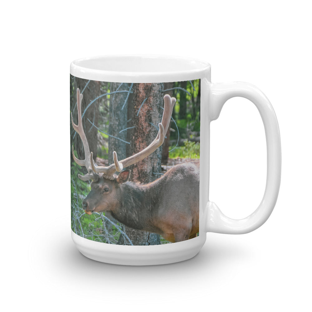 Bull Elk in the Velvet