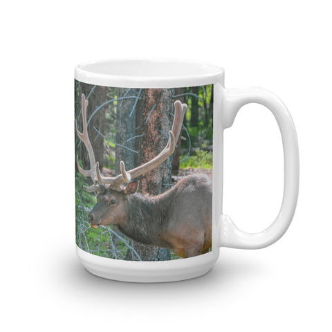 Bull Elk in the Velvet