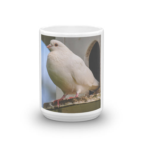 Dove and Dovecote