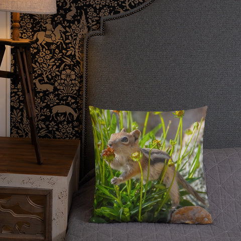 Golden-Mantled Ground Squirrel