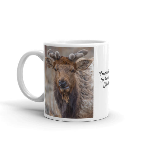 Bull Elk in Moraine Park