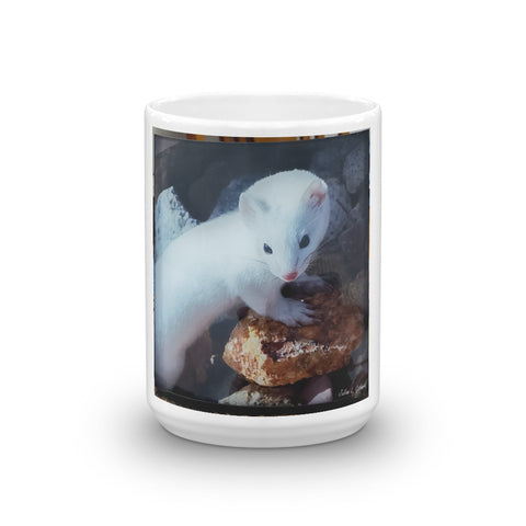 Long-tailed Weasel in Winter Coat