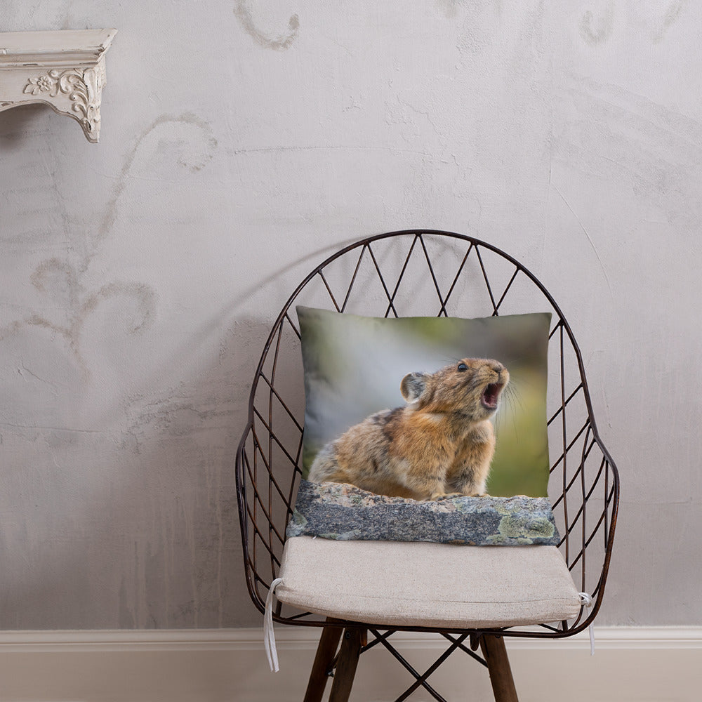 Pikas Don't Squeak They Roar