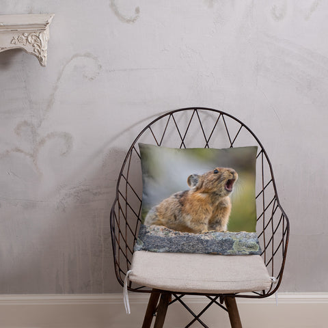 Pikas Don't Squeak They Roar