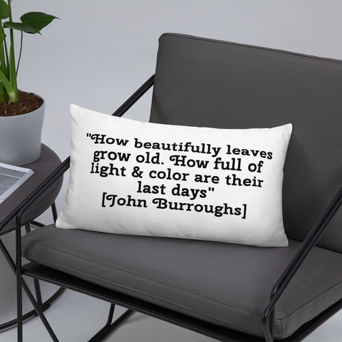 Peak to Peak Fall Color