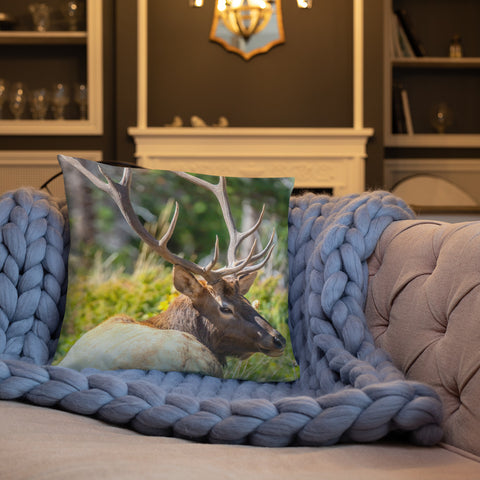 A Bull Elk's Backward Glance