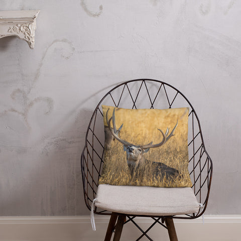 Stag Scenting Danger