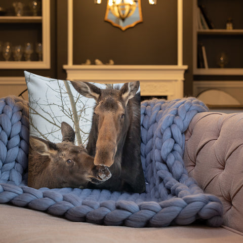 Momma Moose and Babe