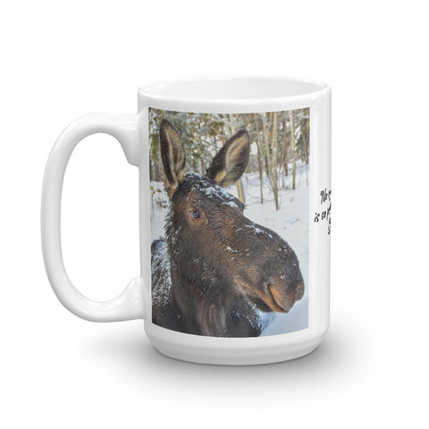 Moose Cow in Winter