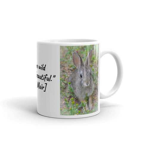 Mountain Cottontail