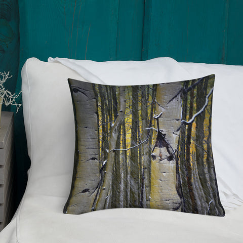 Kebler Pass Aspen in the Fall