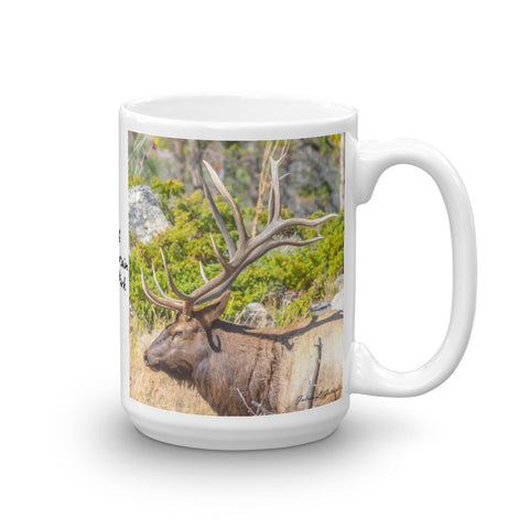 Twelve Point Bull Elk at Rocky Mountain National Park