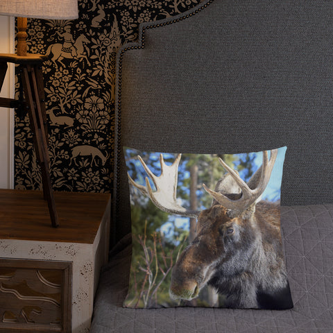 Jefferson the Bull Moose