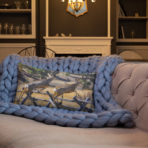 Rocky Mountain Mule Deer Steeplechase