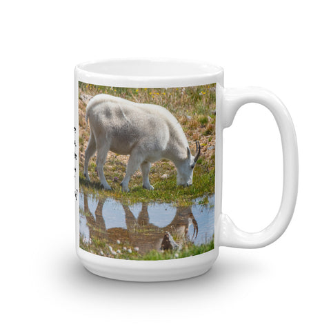 Goat by Reflecting Pool