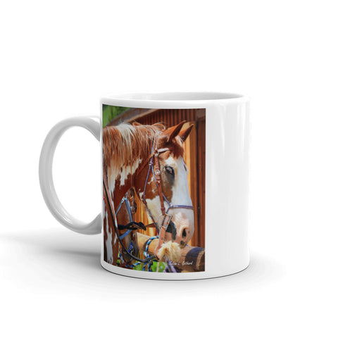 Painted Belgian Horse