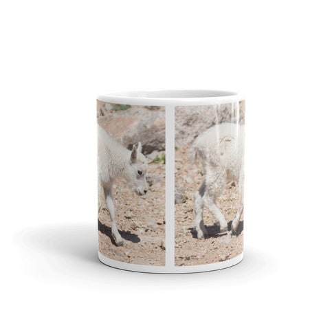 Rocky Mountain Goat Kid