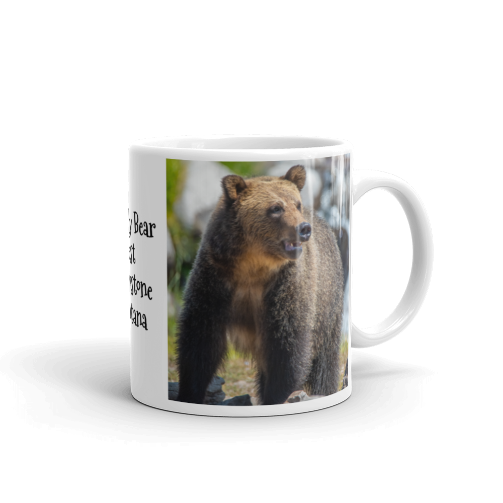 Grizzly Bear