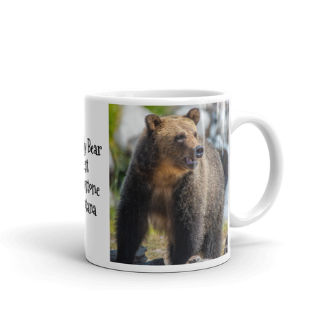 Grizzly Bear