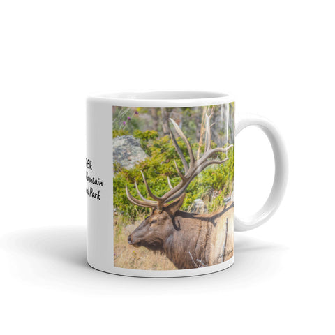 Twelve Point Bull Elk at Rocky Mountain National Park