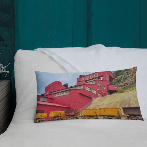 The Argo Gold Mine and Mill