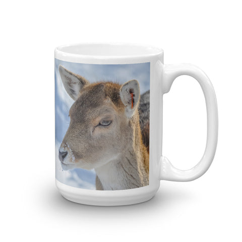 Fallow Deer