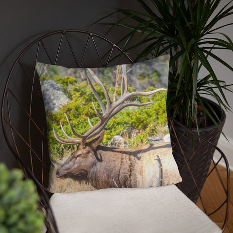 Bull Elk in the Rut