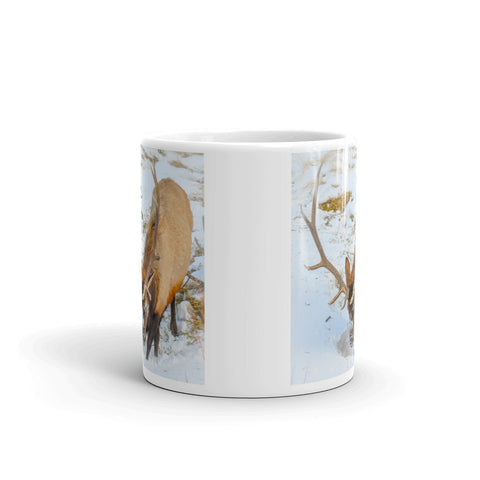 Bull Elk in Snow