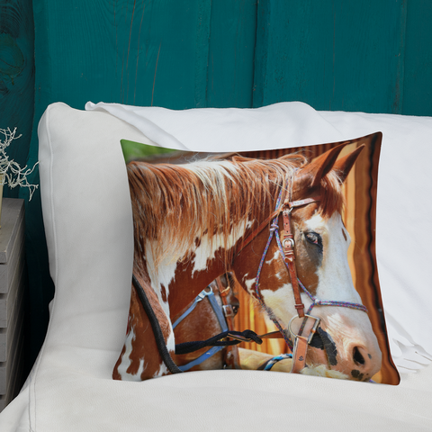 Belgian Painted Horse