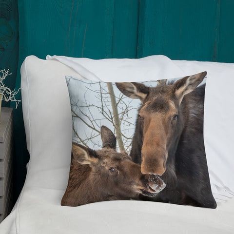 Momma Moose and Babe