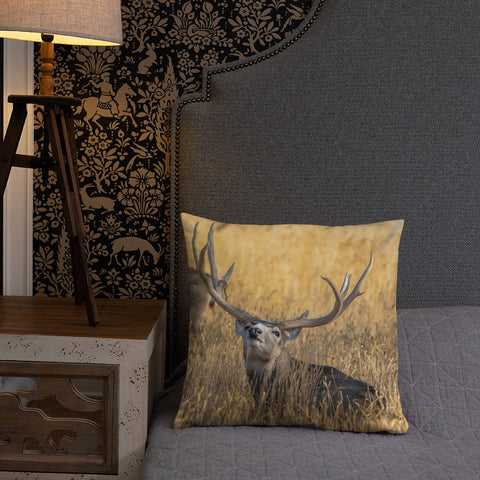 Stag Scenting Danger