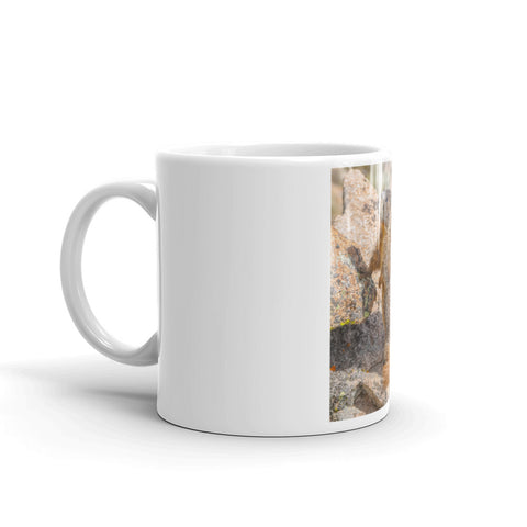 Yellow-bellied Marmot on the Lookout