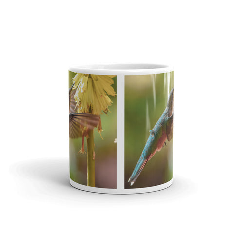 Ruby-Throated Hummingbird and Red Hot Poker