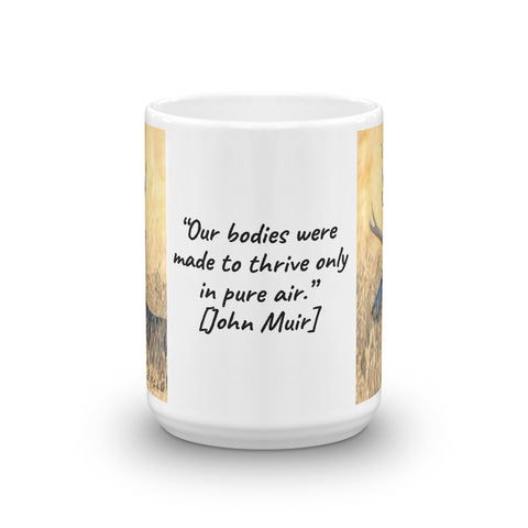 Stag at the Rocky Mountain Arsenal