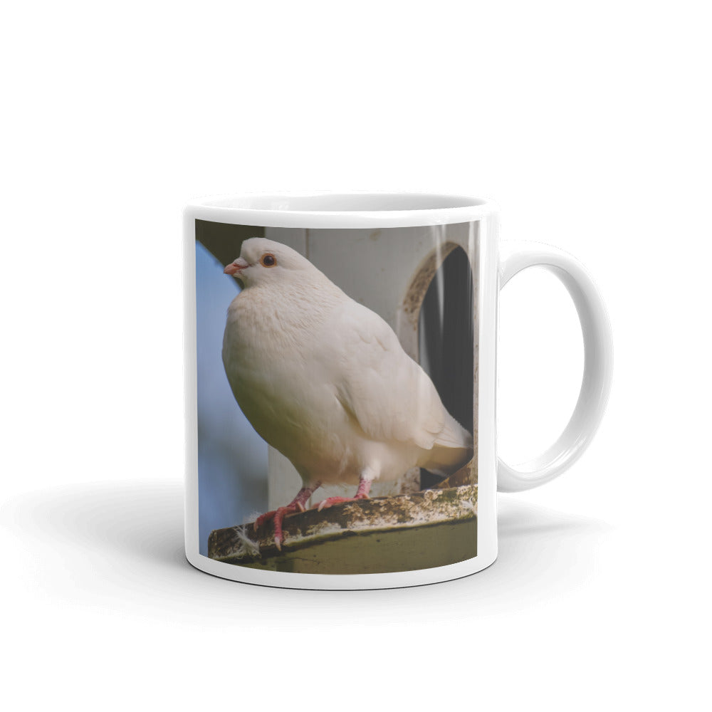 Dove and Dovecote