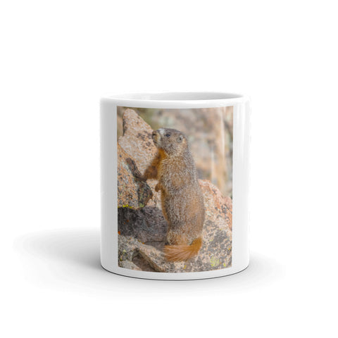 Yellow-bellied Marmot on the Lookout