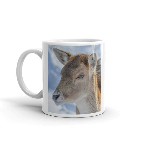 Fallow Deer