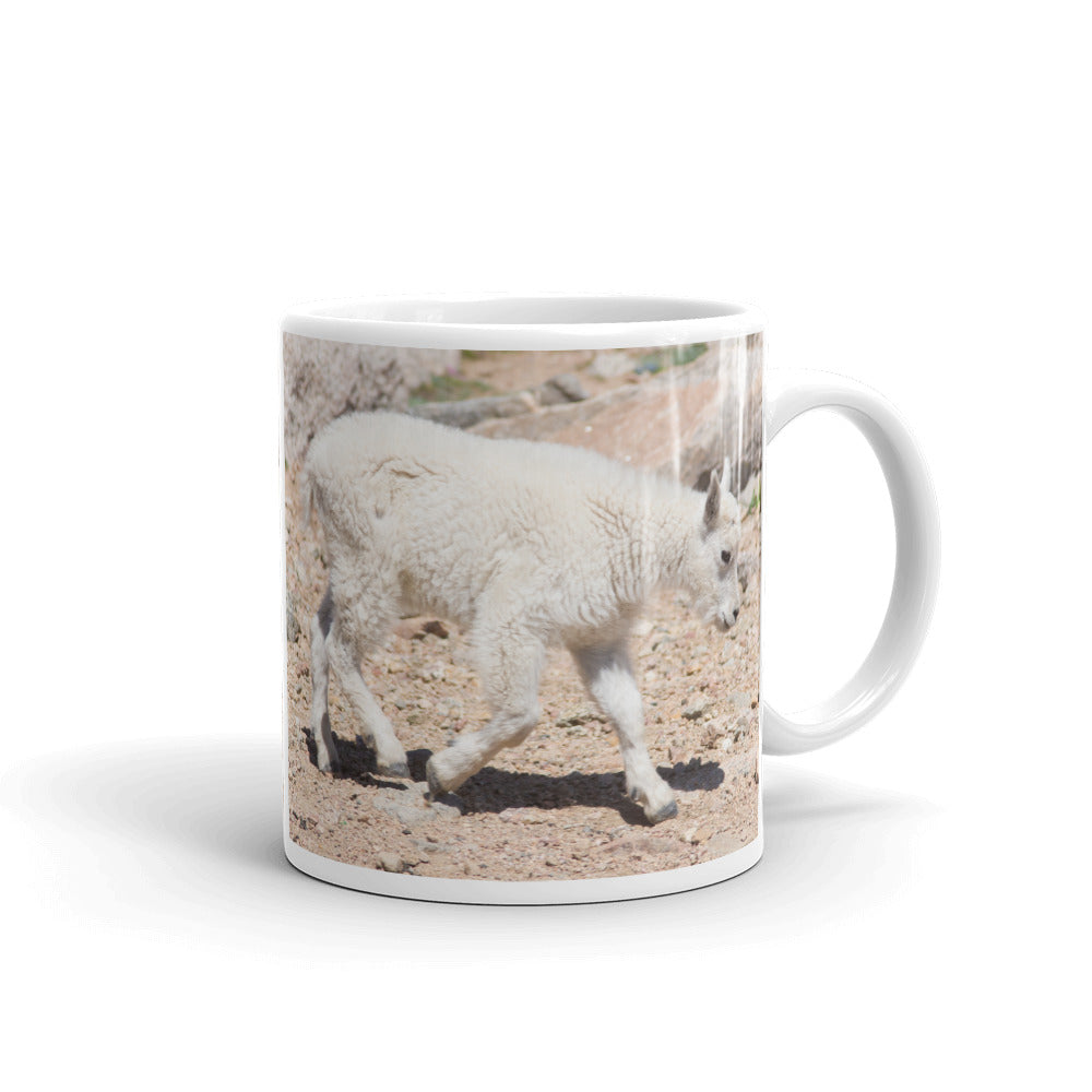 Rocky Mountain Goat Kid