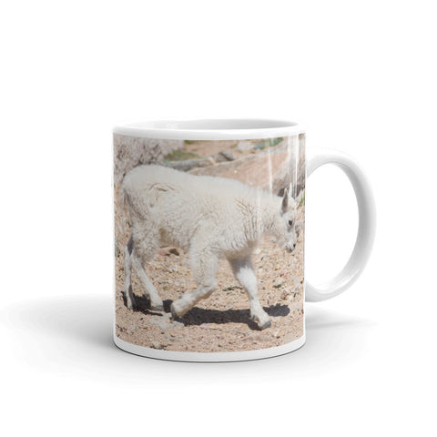 Rocky Mountain Goat Kid