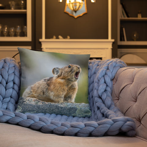 Pikas Don't Squeak They Roar