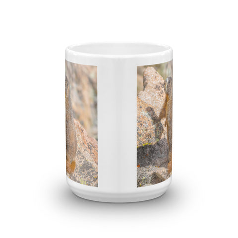 Yellow-bellied Marmot on the Lookout